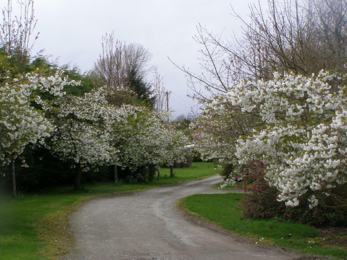 Killurin Lodge Ballyvolane Exterior foto